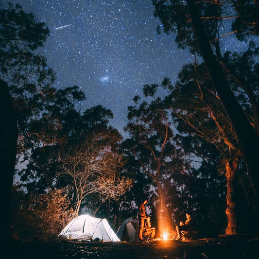 Camping trip: what do I need to survive in the woods? - Ostrichpillow